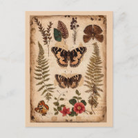 Diario de la naturaleza de mariposas helechos vint