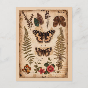 Postal Diario de la naturaleza de mariposas helechos vint