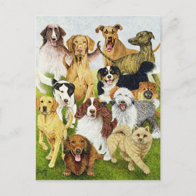 Postal Días de perros (Anverso)