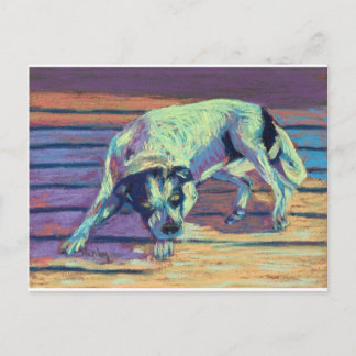 Postal Días de perros