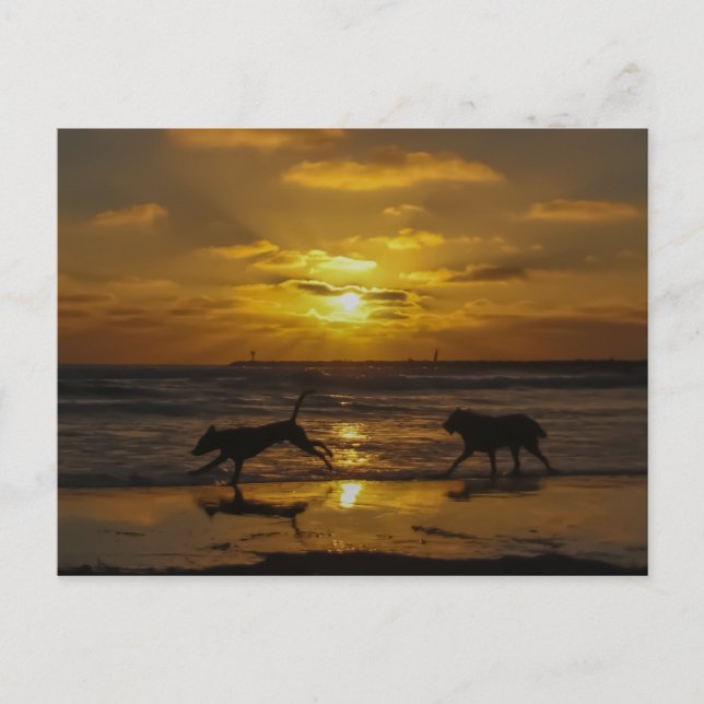 Postal Días de perros de verano (Anverso)