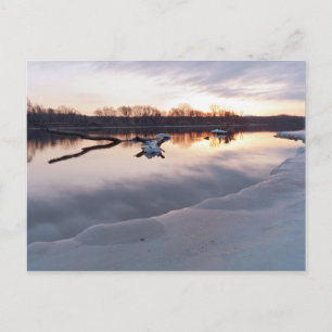 Postal Días del río Misisipi en St. Paul