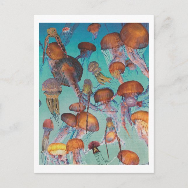 Postal Dibble_Artworks_126_Jellies (Anverso)