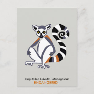 Postal Dibujado por mano - LEMUR - Animales en peligro de