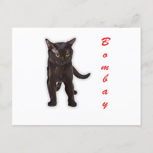 Postal Dibujar mano a un gracioso gato de Bombay regalo d