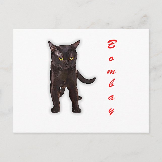 Postal Dibujar mano a un gracioso gato de Bombay regalo d (Anverso)
