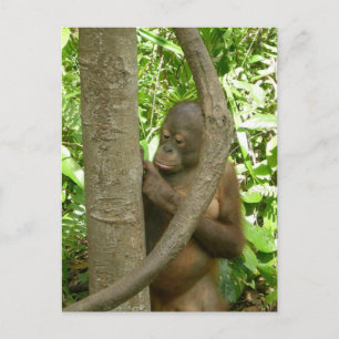 Postal Dibujar mi nombre en un árbol