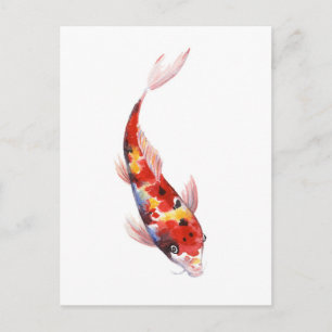 Postal Dibujo acuarela de la carpa de Koi