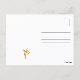 Postal Dibujo acuarela de un loro de cacatúa