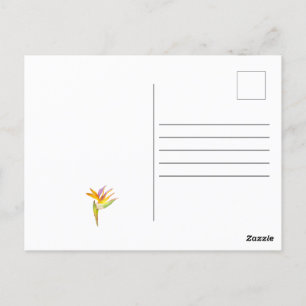 Postal Dibujo acuarela de un loro de cacatúa