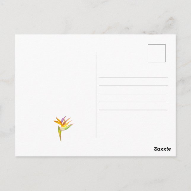 Postal Dibujo acuarela de un loro de cacatúa (Reverso)