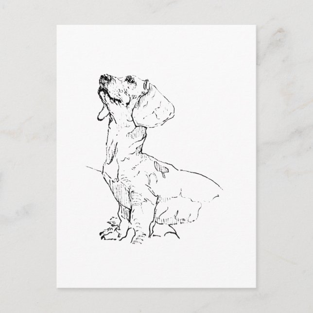 Postal Dibujo adorable de Dachshund, padre de perro (Anverso)