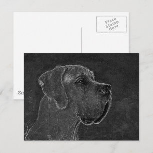 Postal Dibujo al carbón de cabeza de Gran Danés