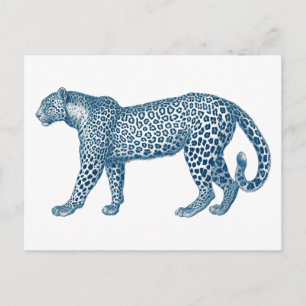 Postal Dibujo antiguo de un leopardo