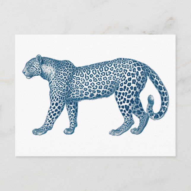 Postal Dibujo antiguo de un leopardo (Anverso)