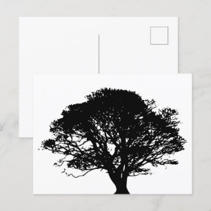 Postal Dibujo Bella Artes de silueta de roble negro gótic