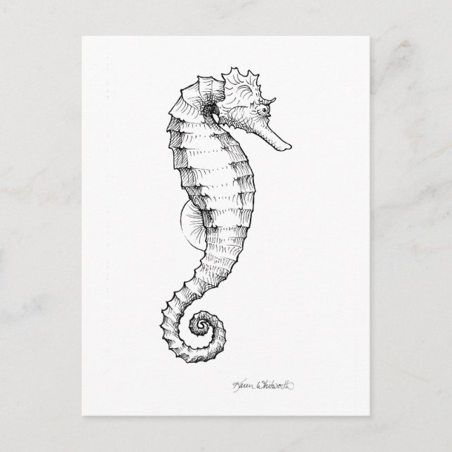 Postal Dibujo blanco y negro del Seahorse (Anverso)