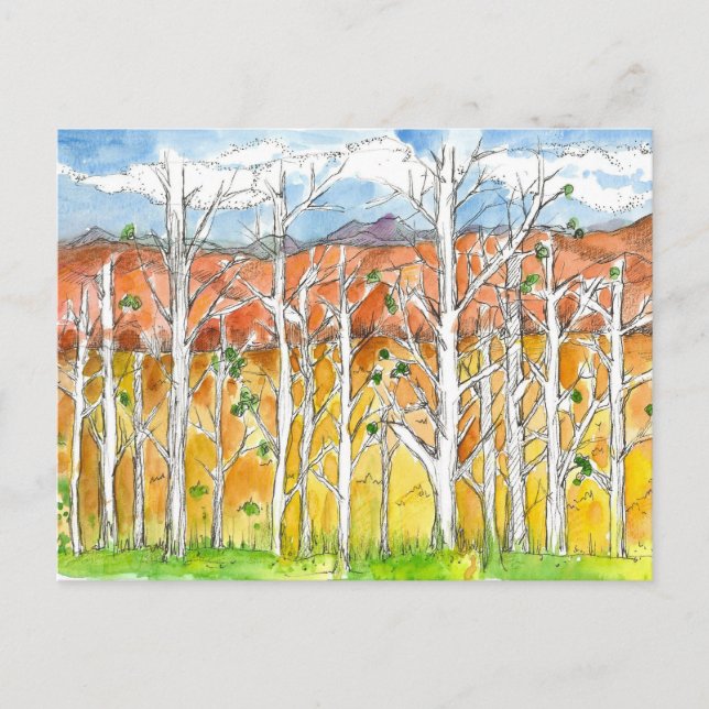 Postal Dibujo de árboles de álamo temblón de otoño en acu (Anverso)