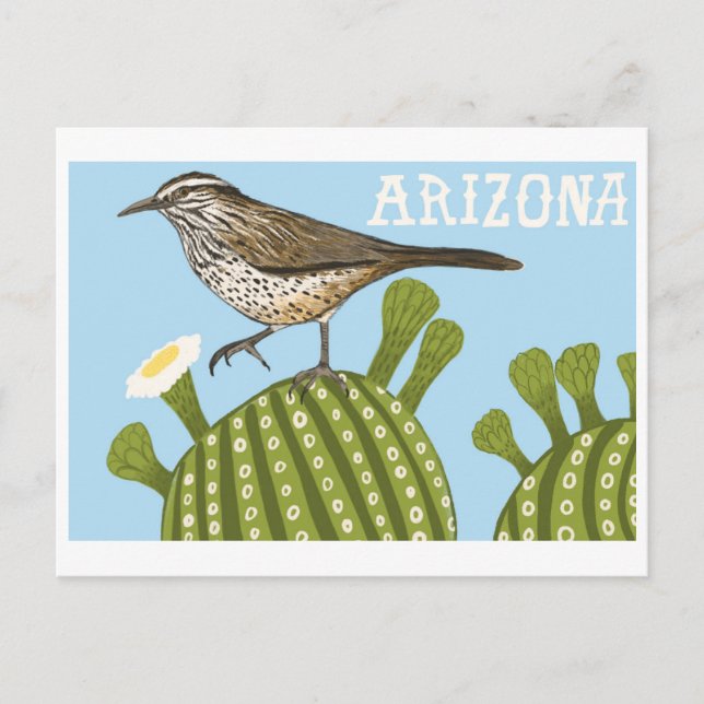 Postal Dibujo de Arizona Saguaro Cactus Wren (Anverso)