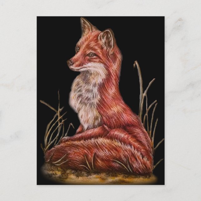 Postal Dibujo de Arte Animal de Fox Roja (Anverso)