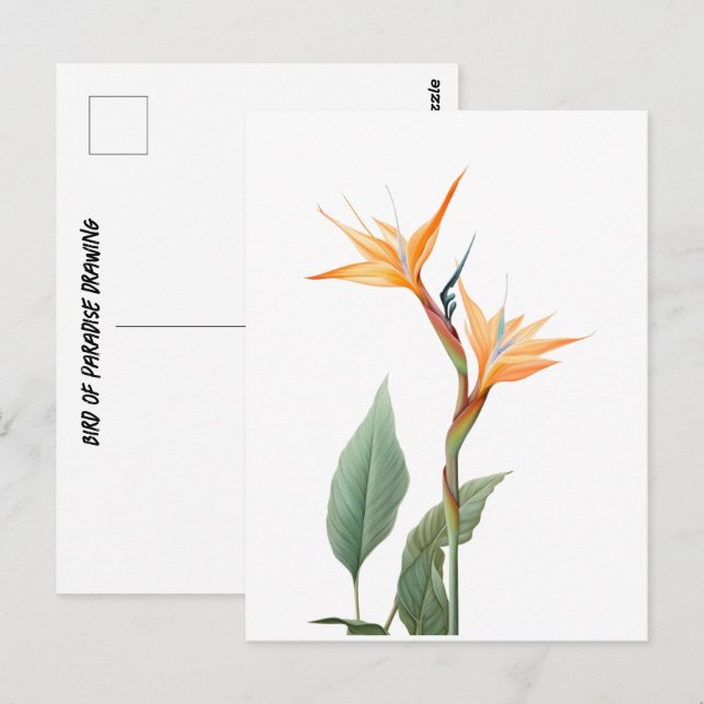 Postal Dibujo de ave del paraíso (flor) (Anverso / Reverso)