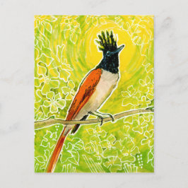 Postal Dibujo de aves tropicales de Flycatcher, paraíso i