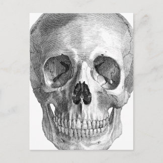 Postal Dibujo de boceto de la anatomía del cráneo humano