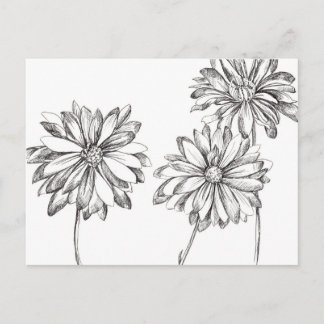 Postal Dibujo de Bouquet de flores de margarita blanca ne