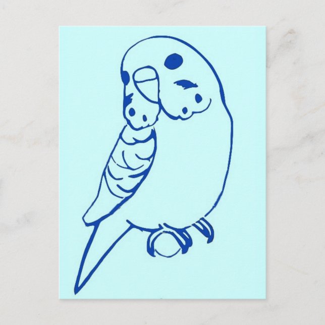 Postal Dibujo de Budgie (Anverso)