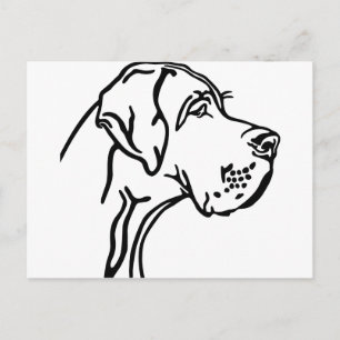Postal Dibujo de cabeza de Gran Danés