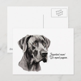 Postal Dibujo de cabeza de Gran Danés