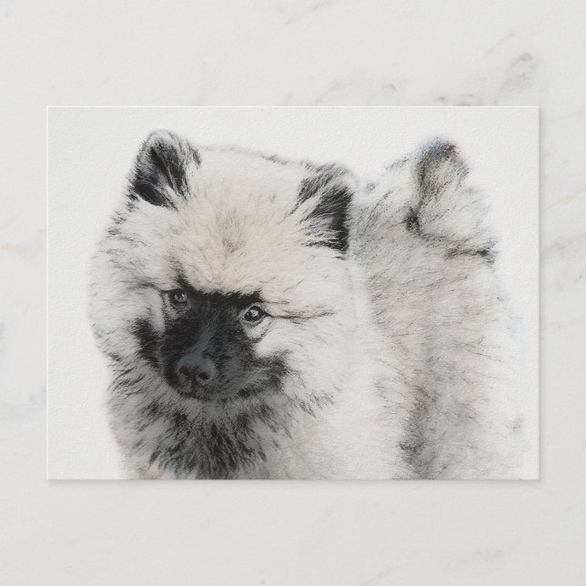 Postal Dibujo de cachorros de Keeshond - Arte de perros o (Anverso)