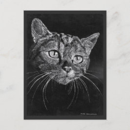 Postal Dibujo de cara de gato de Mark Edward Westerfield