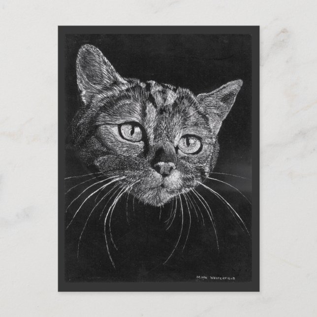 Postal Dibujo de cara de gato de Mark Edward Westerfield (Anverso)
