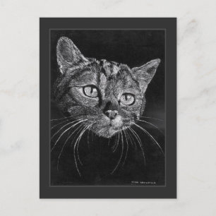Postal Dibujo de Cara de Gato Por Mark Edward Westerfield