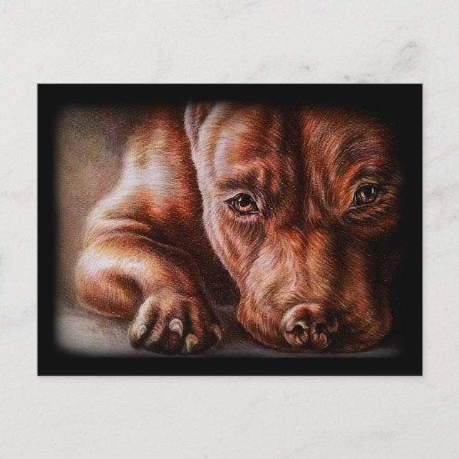 Postal Dibujo de cara de pitbull marrón del perro retrato (Anverso)