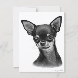 Postal Dibujo de carbón de gazas blandas