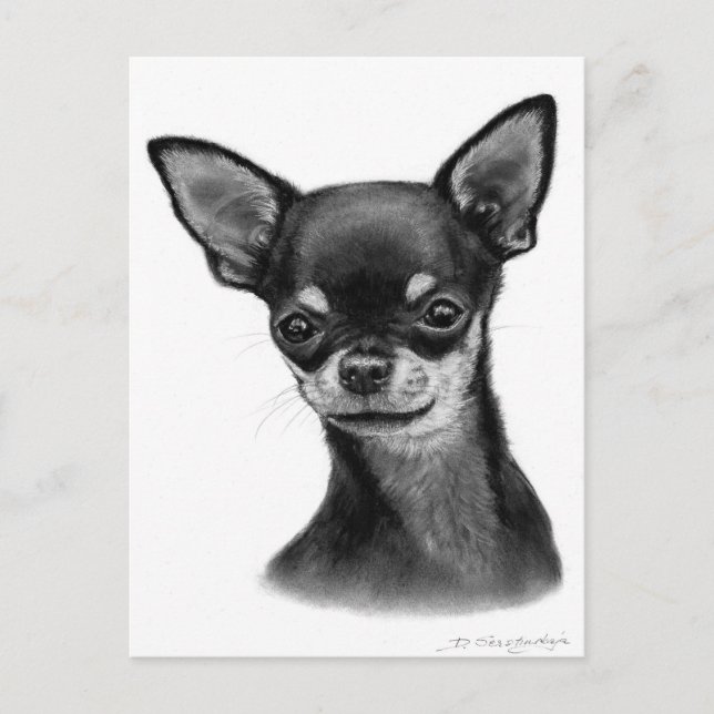 Postal Dibujo de carbón de gazas blandas (Anverso)