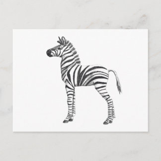 Postal Dibujo de cebra de bebé lindo