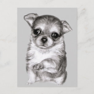 Postal Dibujo de Chihuahua