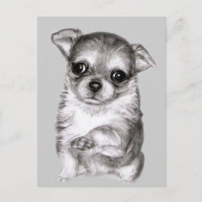 Postal Dibujo de Chihuahua (Anverso)