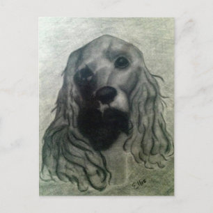 Postal Dibujo de Cocker, Claire