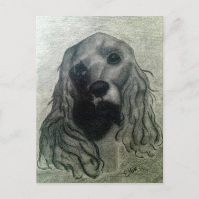 Postal Dibujo de Cocker, Claire (Anverso)