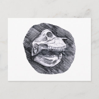 Postal Dibujo de cráneo en boceto de animales imaginarios
