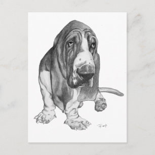 Postal Dibujo de enlace base