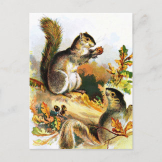 Postal Dibujo de época: ardillas en otoño