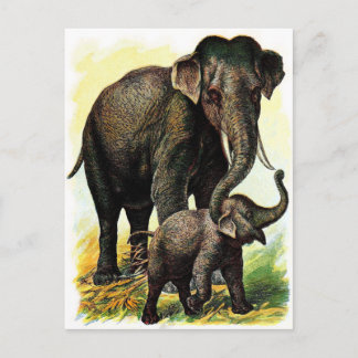 Postal Dibujo de época: Madre elefante con ternera