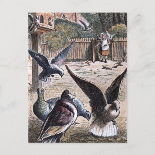 Postal Dibujo de época: Porteador Pidgeons (Anverso)