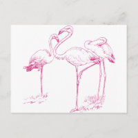 Dibujo de flamencos rosados