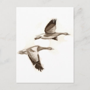 Postal Dibujo de gansos voladores